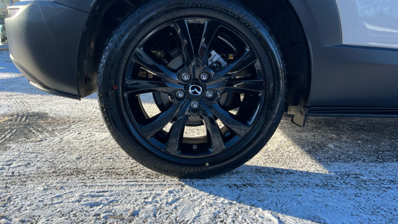 Mazda CX-30 2.5 e-Skyactiv G MHEV [140] Homura 5dr Petrol Hatchback